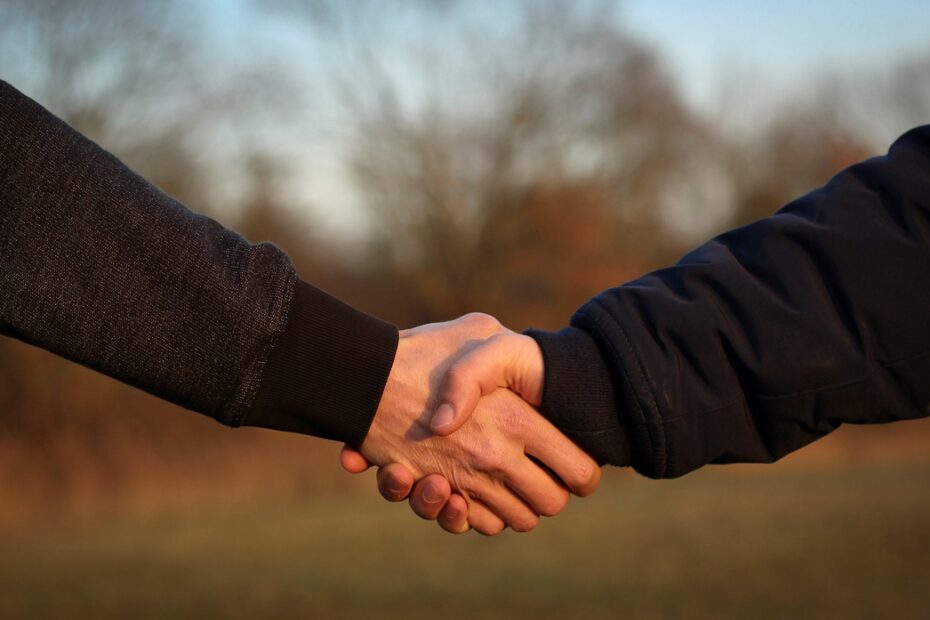 handshake, shake hands, hand holding