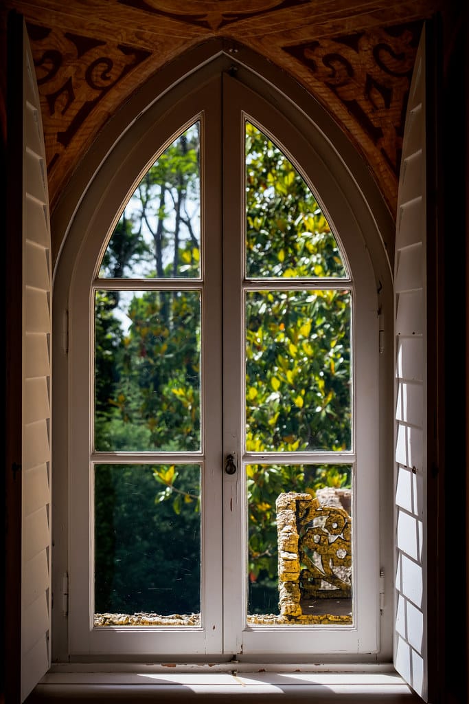 G(o)ryczanka. Recenzja powieści „Wydrąż mi rodzinę w serze”