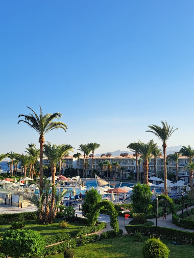 Fot. Agnieszka Łukaszewska